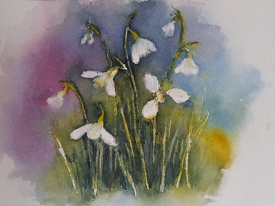 Chrissy F. Snowdrops 2, watercolour. 1.21.jpg